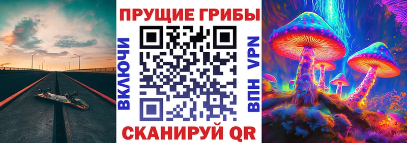Купить где  Осташков  Галлюциногенные грибы GOLDEN TEACHER 
